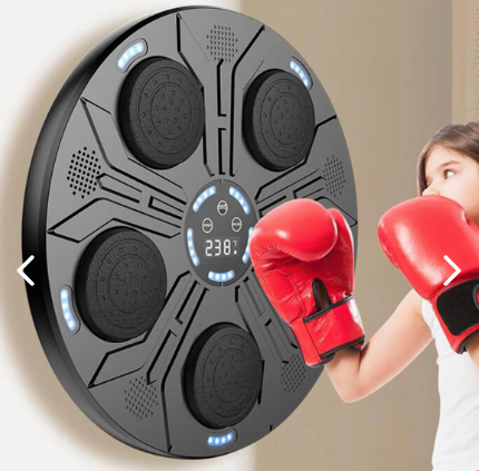 Gimnasio de Boxeo Profesional Deluxe