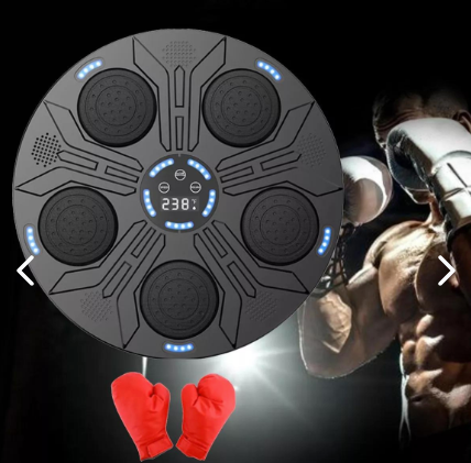 Gimnasio de Boxeo Profesional Deluxe